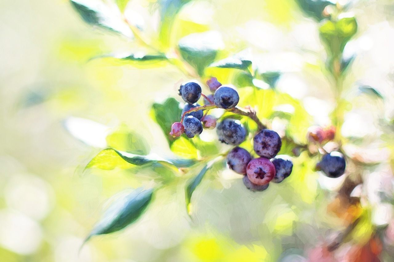 Even if berries look good, keep the fluoride on hand ...