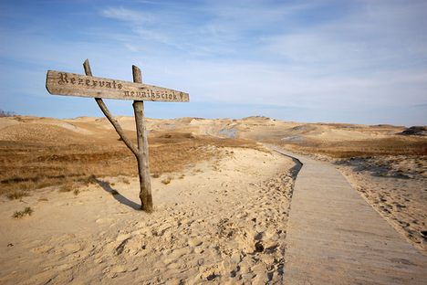 The Dead Dunes
