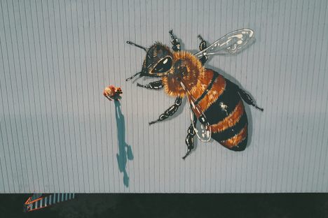 Willey stands next to a massive mural on the barn roof of an organic farm in Lyons, Nebraska. He designed it to be visible to the crop duster pilots who flew by.