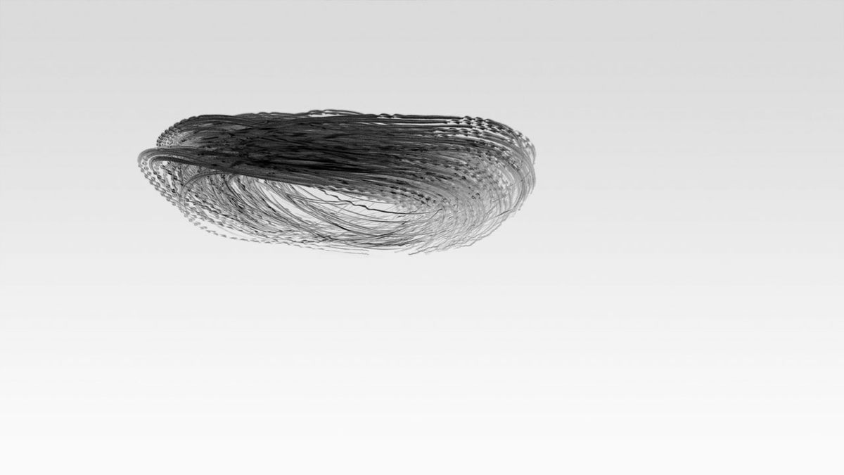 <em>Ornitography #123</em>.
