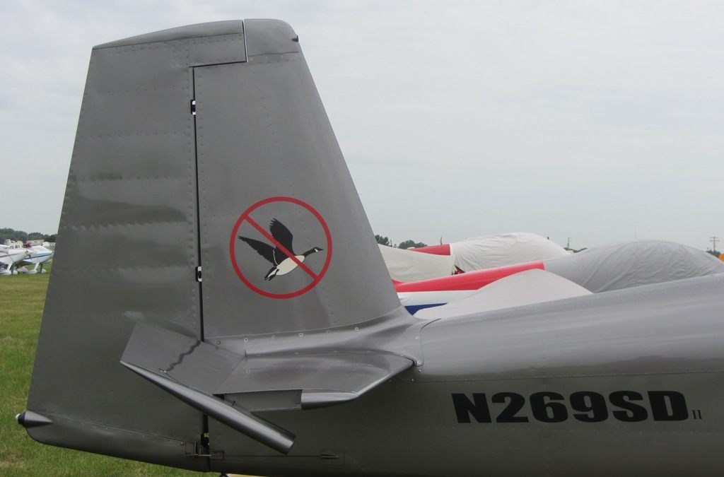 After a bird destroyed one of his planes, this aircraft owner put a warning on his new one.