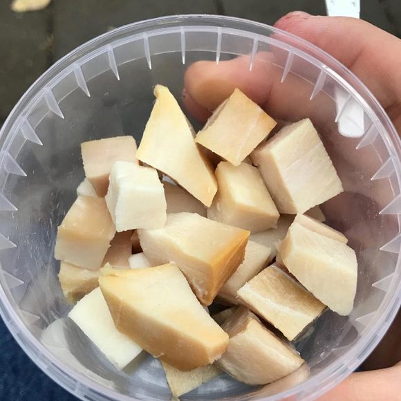 The fermented meat of a Greenland shark.