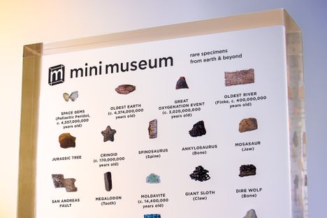 Behold the glory of the Mini Museum.
