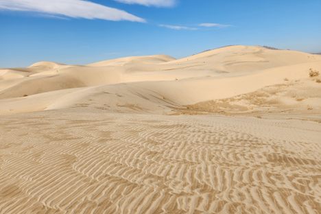 Dune view.