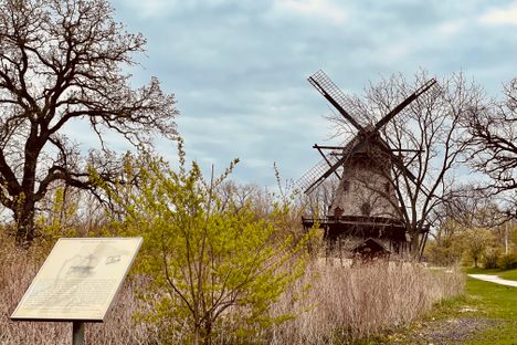 Springtime view