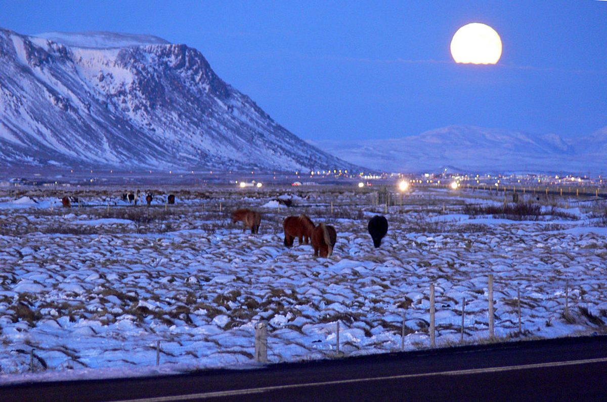 A December night in Iceland, when the Yule Lads visit.