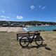 Hobo on a bike profile photo