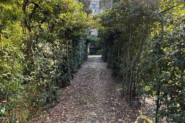 Garden path.