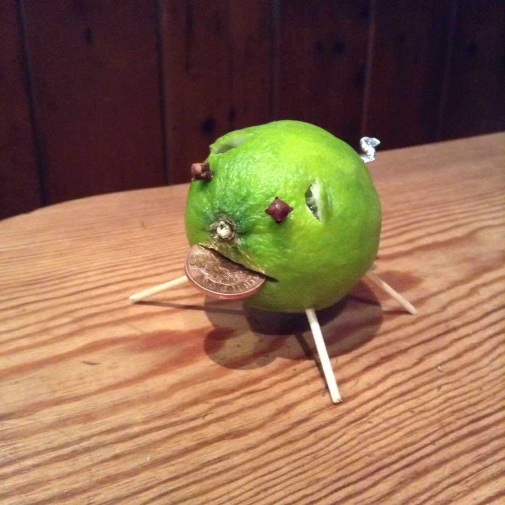 When life gives you limes, you make a lime pig.