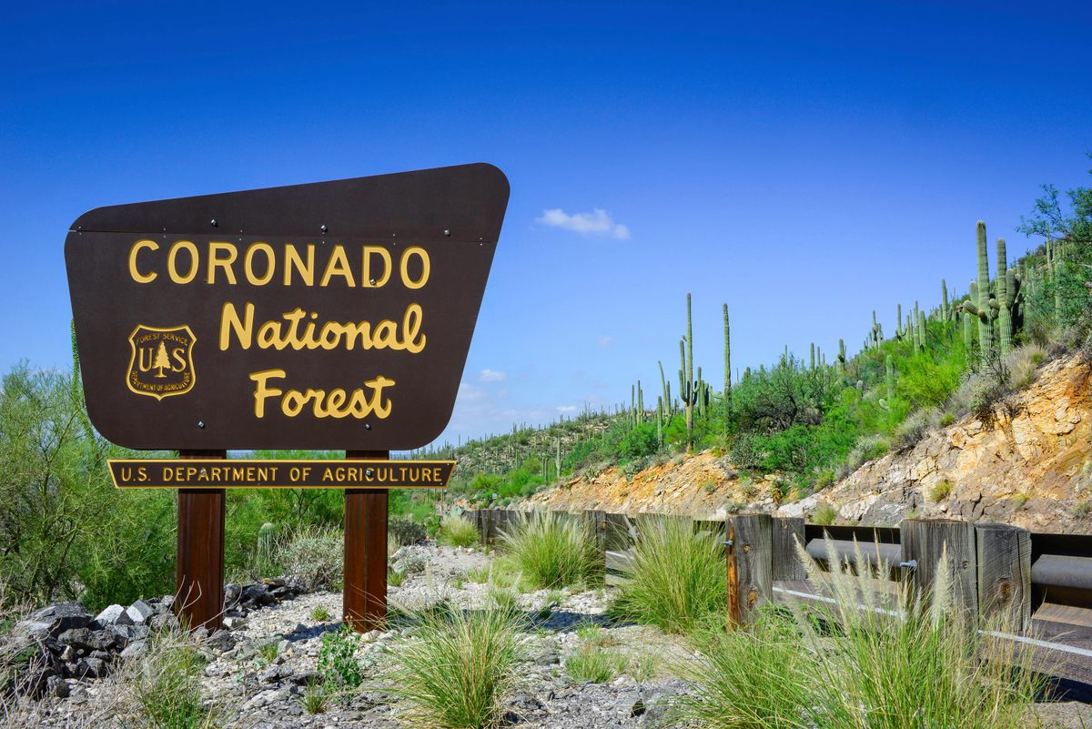 The Coronado National Forest sign near Tucson, Arizona, is an asymmetrical trapezoid.