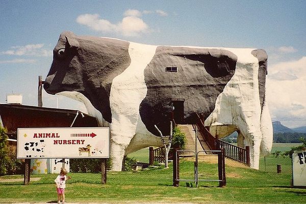 The Big Bull in Wauchope. (Wikimedia Commons)