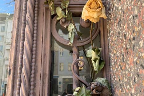 withered roses in memory of DB