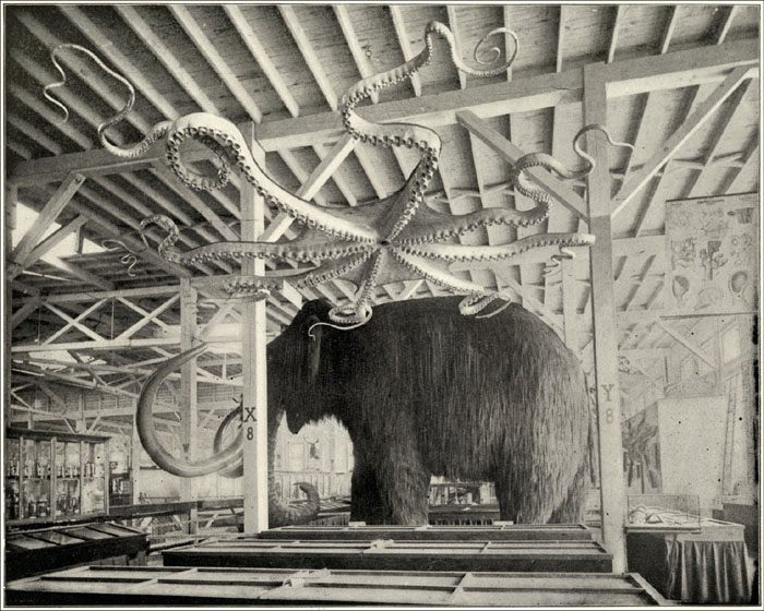 Chicago World's Fair Columbian Exposition