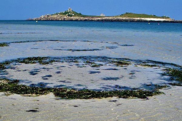 These two seagrass fairy circles, each about 17 feet (five meters) wide, are located in the harbor of Old Grimsby, in the Isles of Scilly in England.