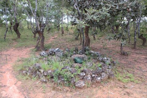 Zwangendaba's Grave.
