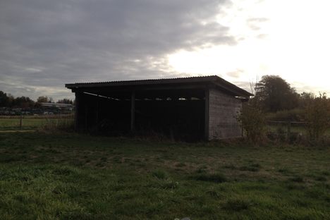 The Tom Ripley Shed