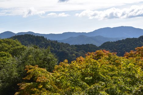 A sweeping panorama from the main temple.