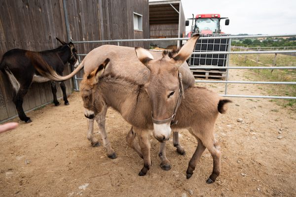 Mom and two-month-old baby.