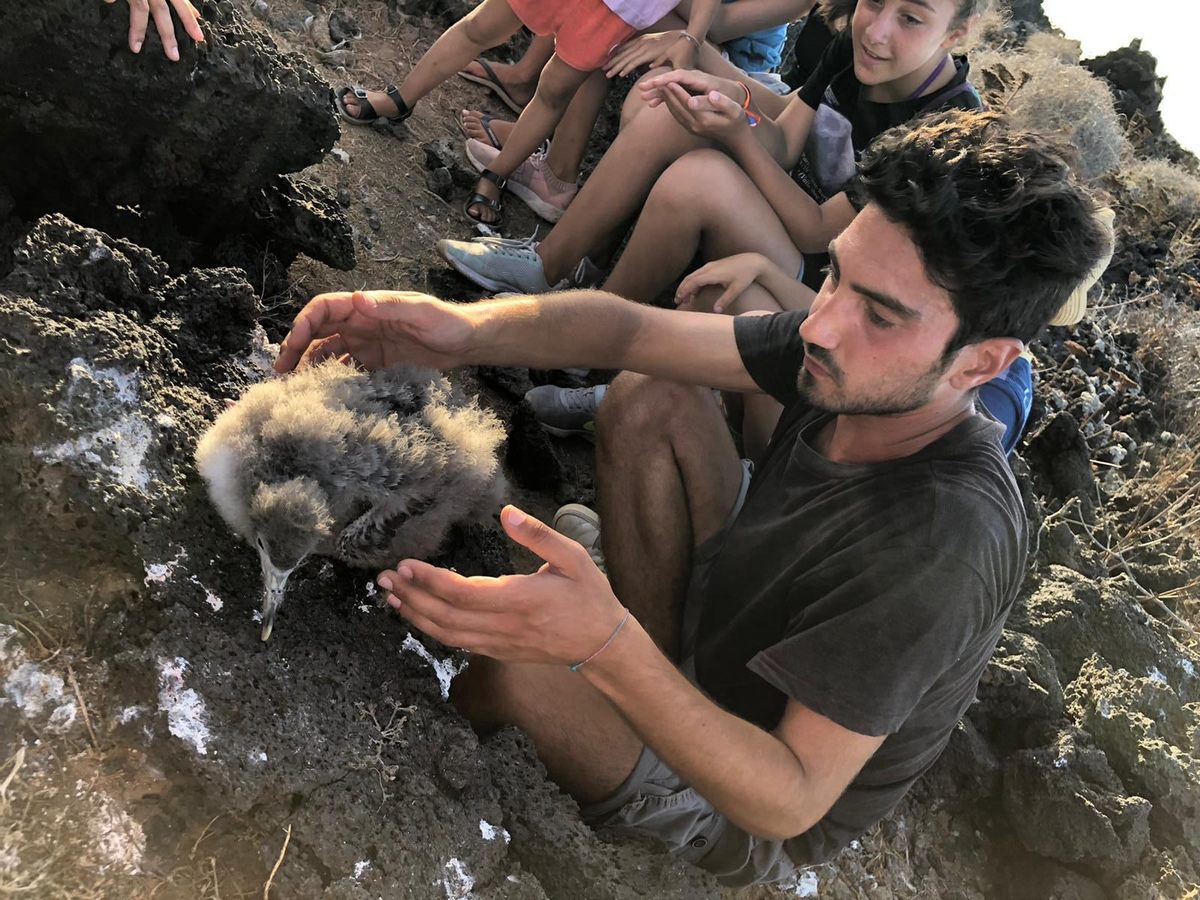 D'Emanuele hopes children who grow up on Linosa, as he did, develop the same appreciation for both the island and its wildlife.