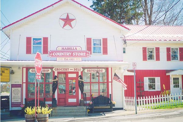 The store
