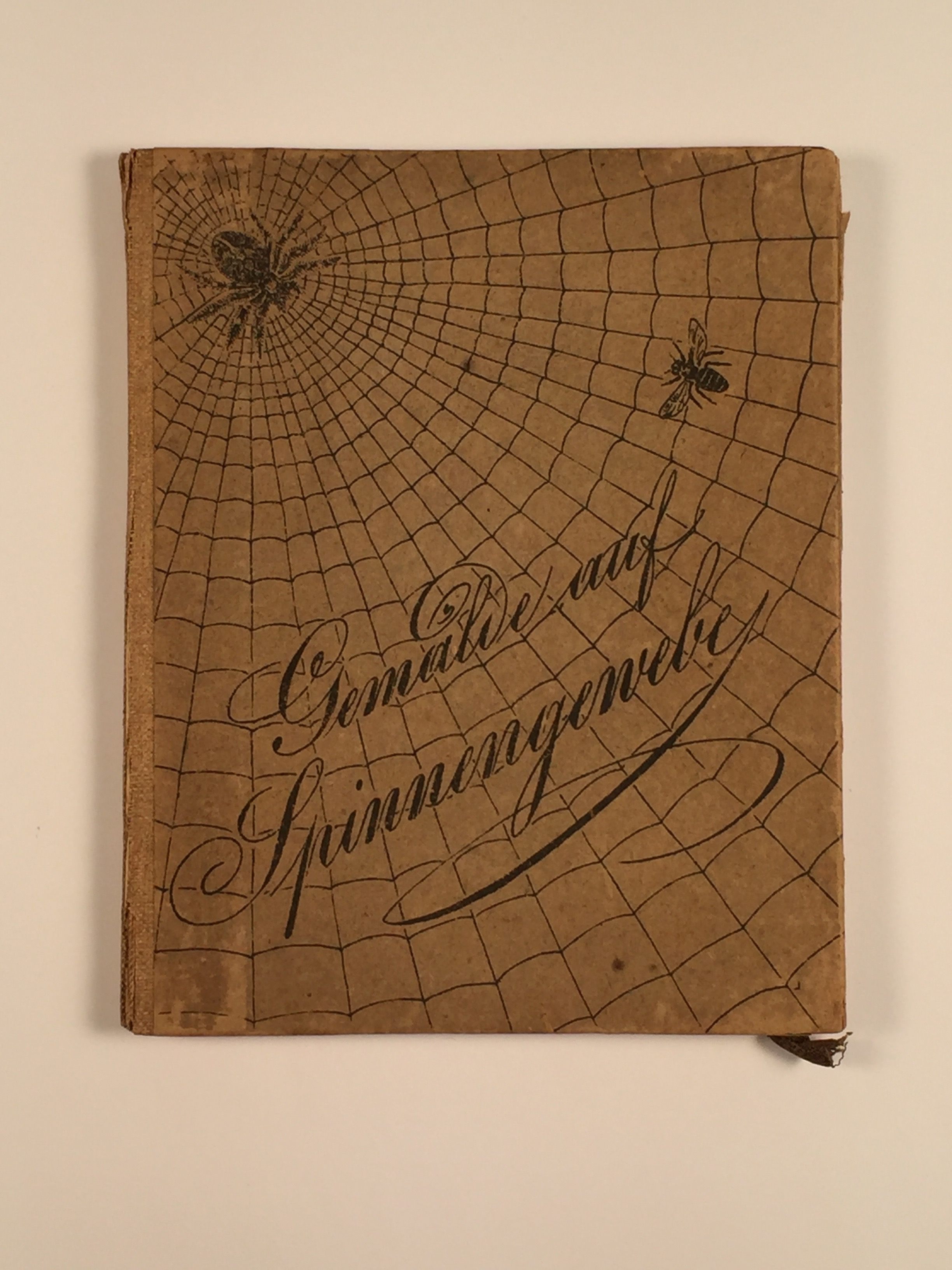 The dark cover of the case containing the four cobweb paintings in the Northwestern University special collections library.