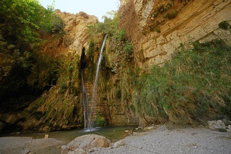 David's Waterfall