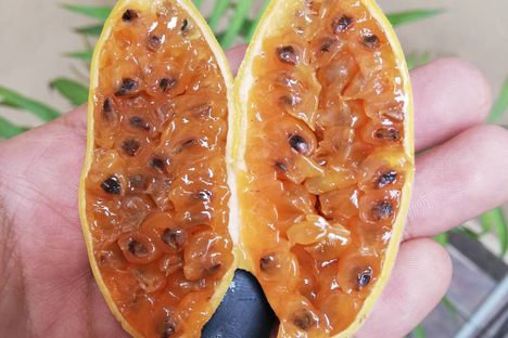 Banana Passionfruit