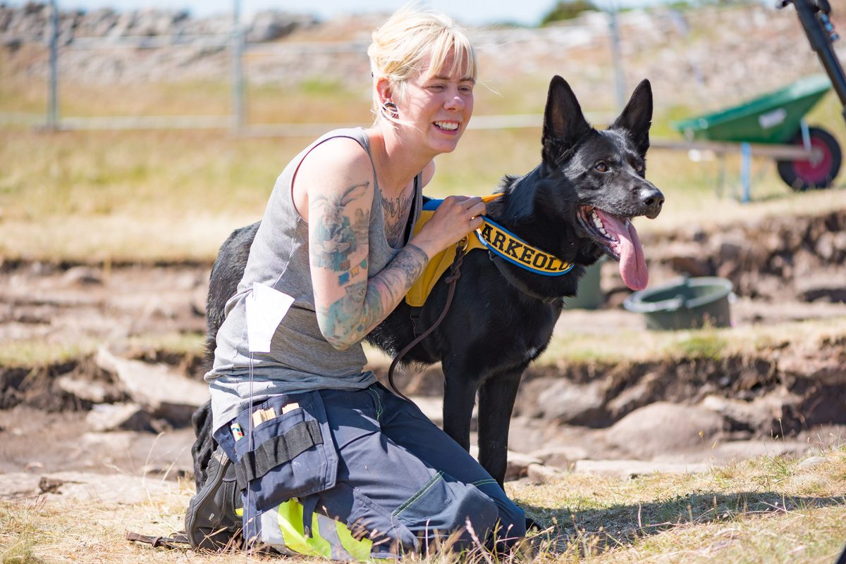 Sophie Vallulv, an archaeologist based in Sweden, trained her dog Fabel to help find remains in an Iron Age site.