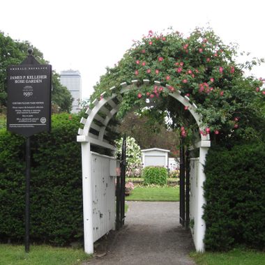 The entryway to the rose garden.