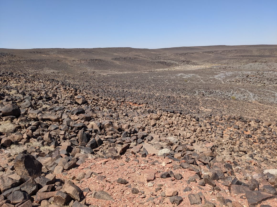 Life on Mars, or Basalt Fields