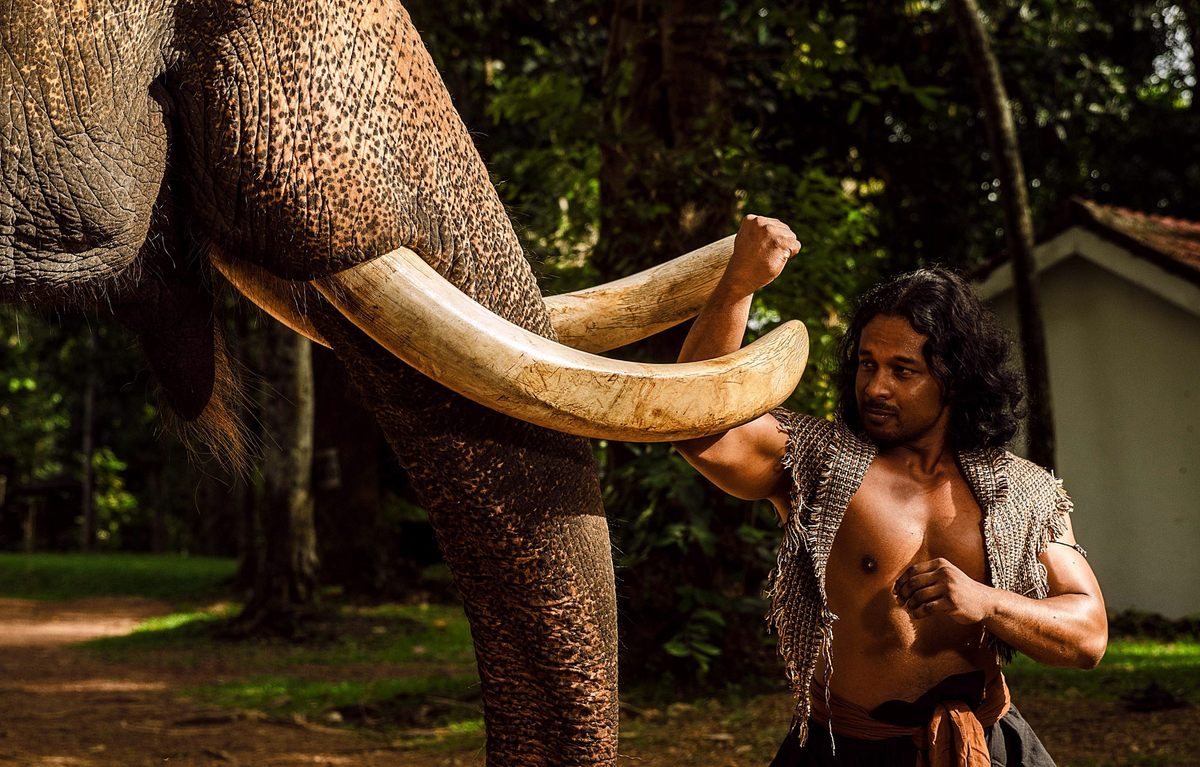A traditional exercise to strengthen arms involves the assistance of an elephant.