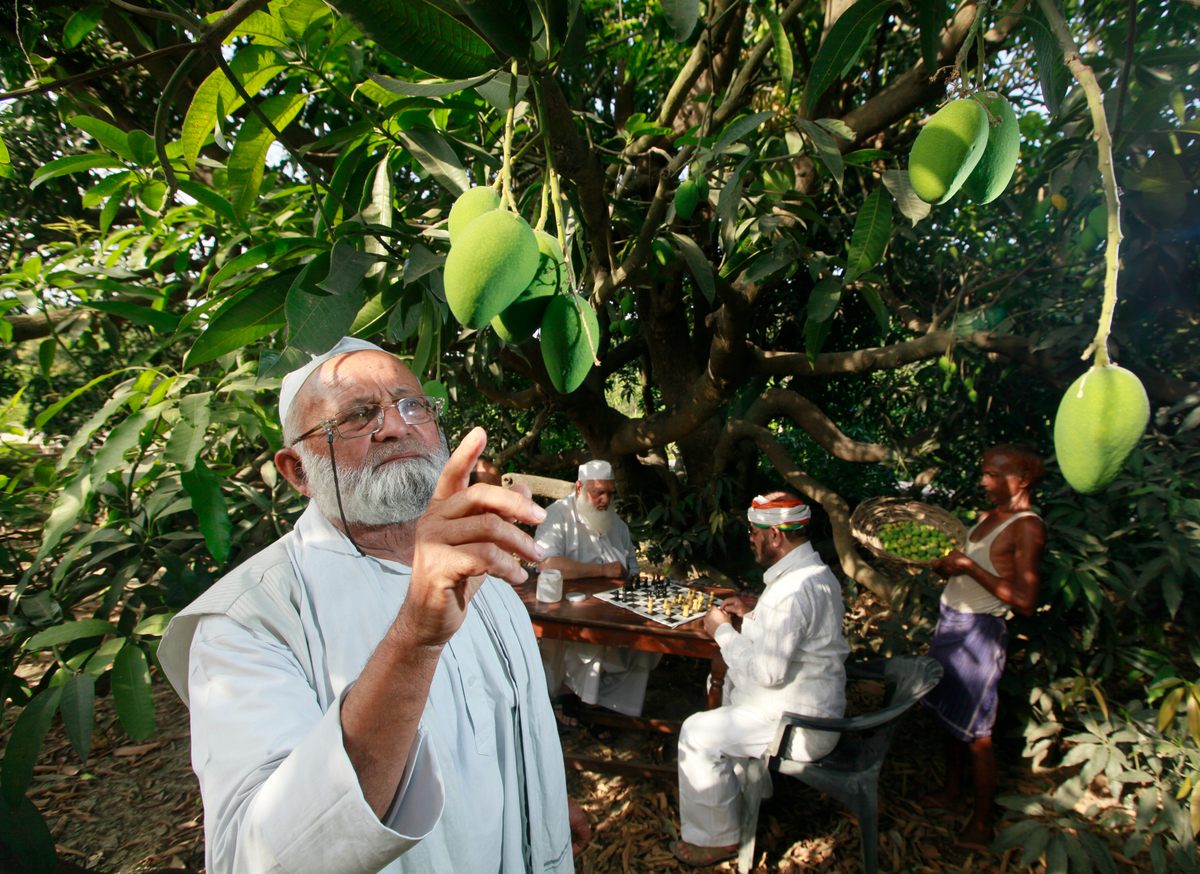 hawt large mangos aged lady