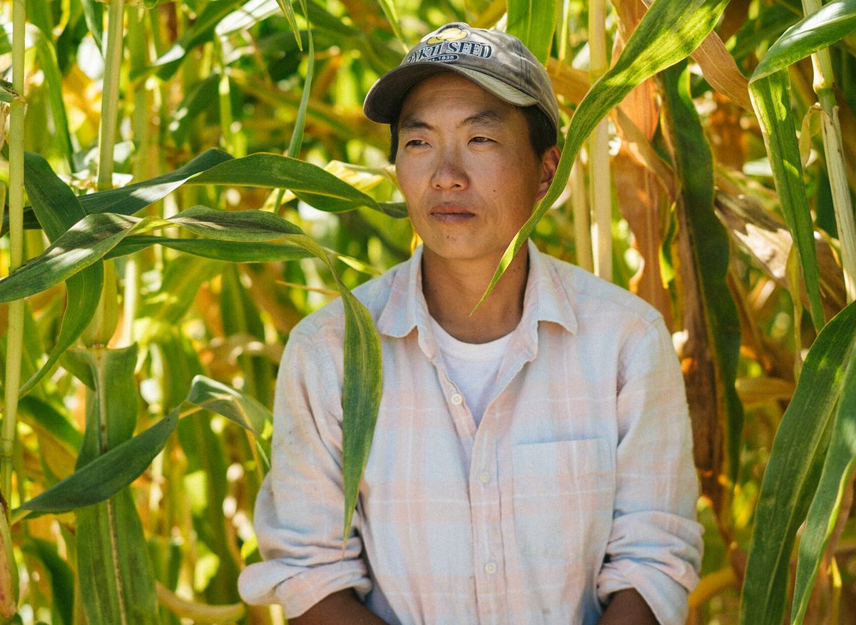 Korean Rural Man How a Korean-American Farmer Is Sharing Her Heritage Through Rare Seeds
