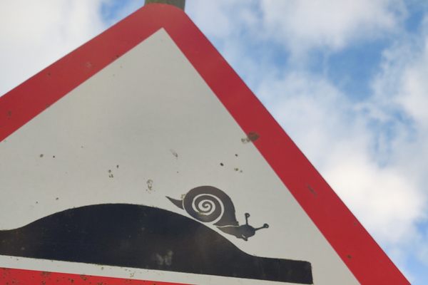 Lerwick Public Sign Snails