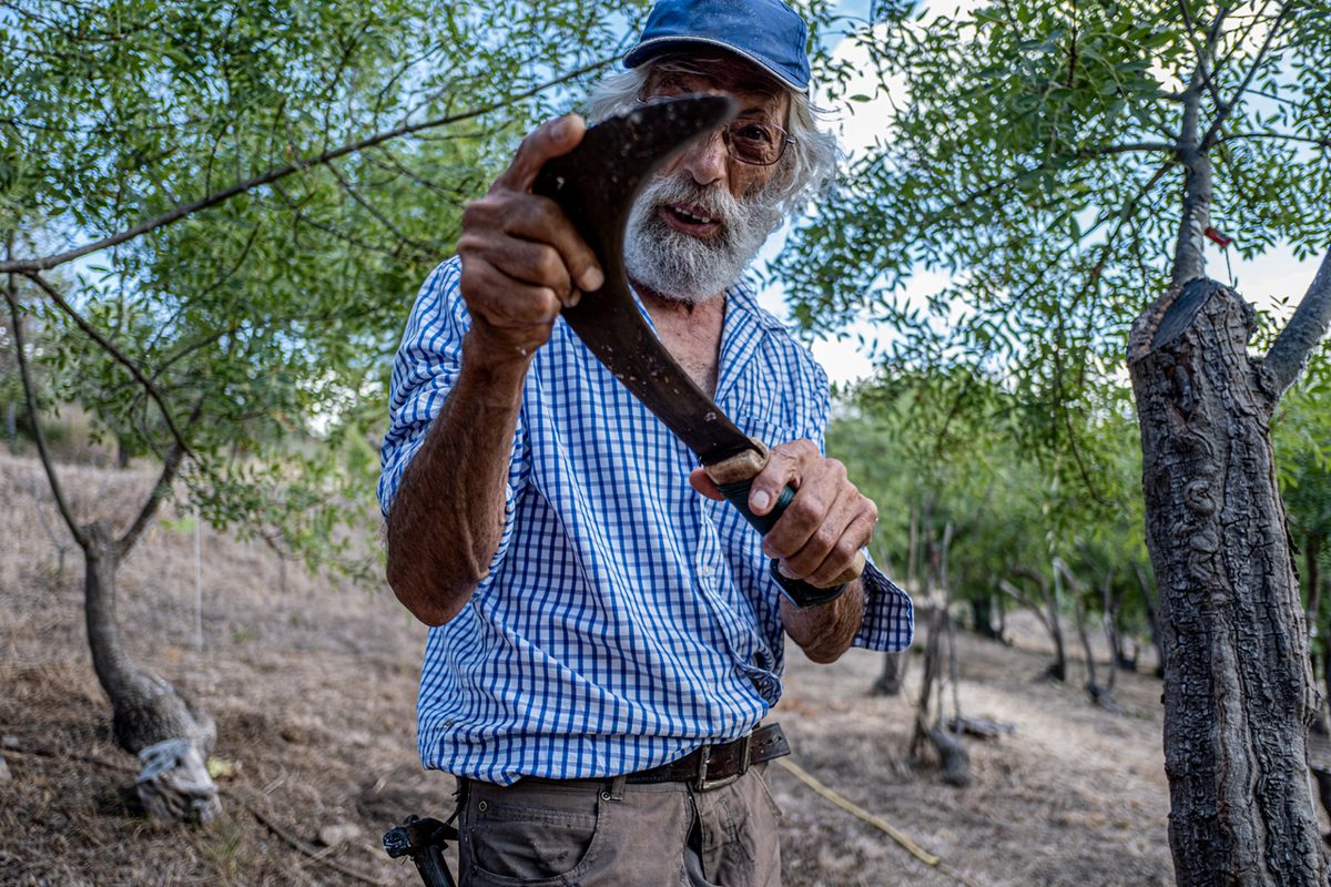Giulio checks the sharpness of his most important tool, a billhook, after curing it with oil.