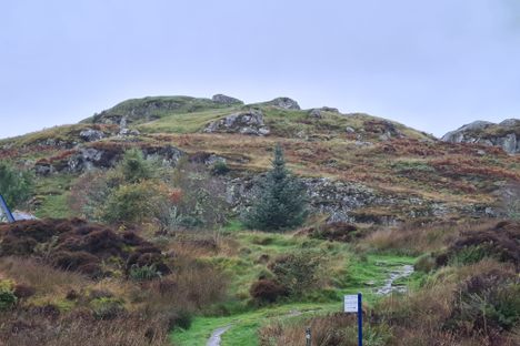 The view from the bottom of the hill