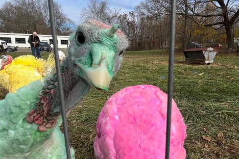 Gozzi's Turkey Farm 