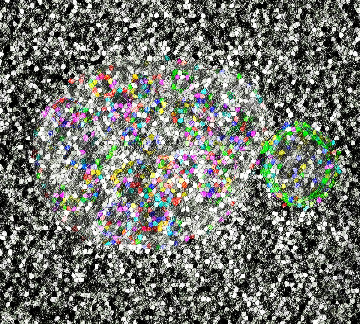 <em>Tiled Autophagy</em>, Staff Pick 2017. Microglia lysosome and double-membrane autophagosome shown under an electron microscope.