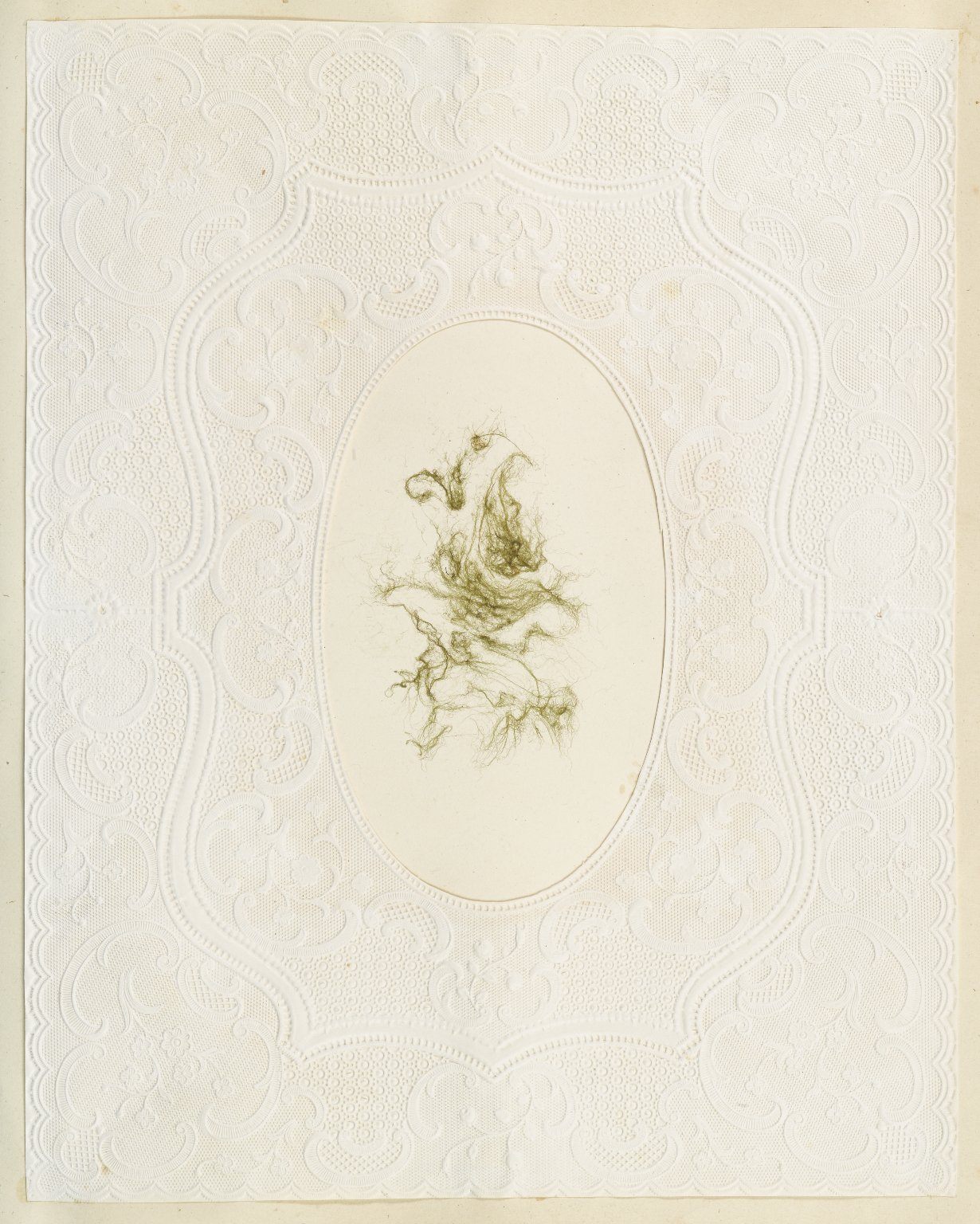 victorian seaweed scrapbook