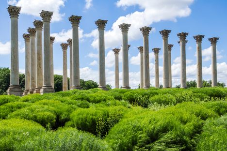 National Capitol Columns