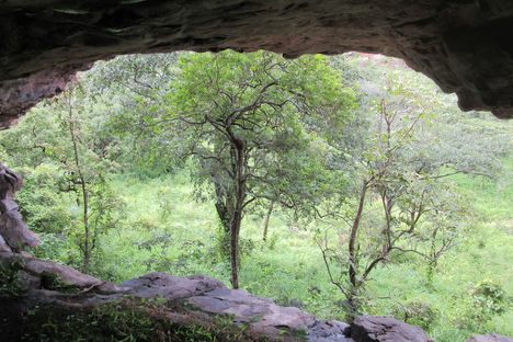 View from inside the cave.