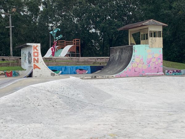 Best skateparks in NYC: 6 thrilling locations to visit
