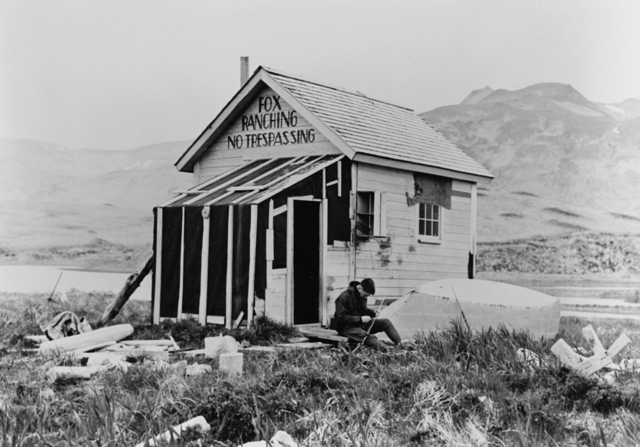 A shack used during the fox-trapping season in 1938.