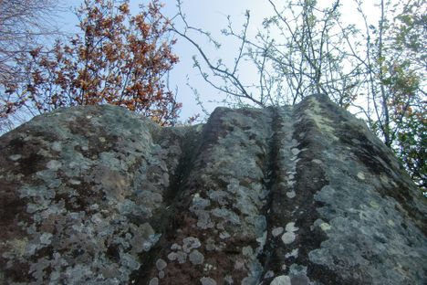 The Caiy Stane