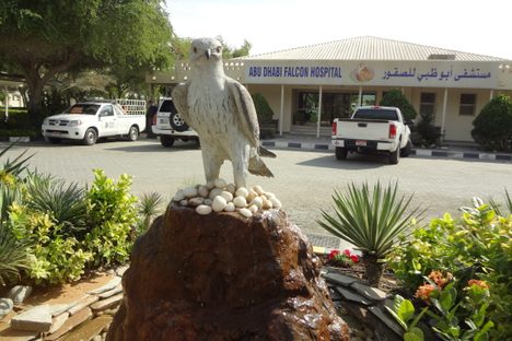 Abu Dhabi Falcon Hospital