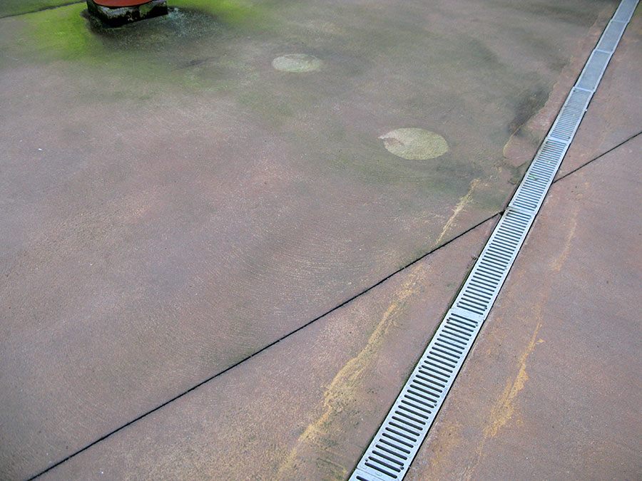 Orchid Nursery, Hawaii, United States of America, 2010