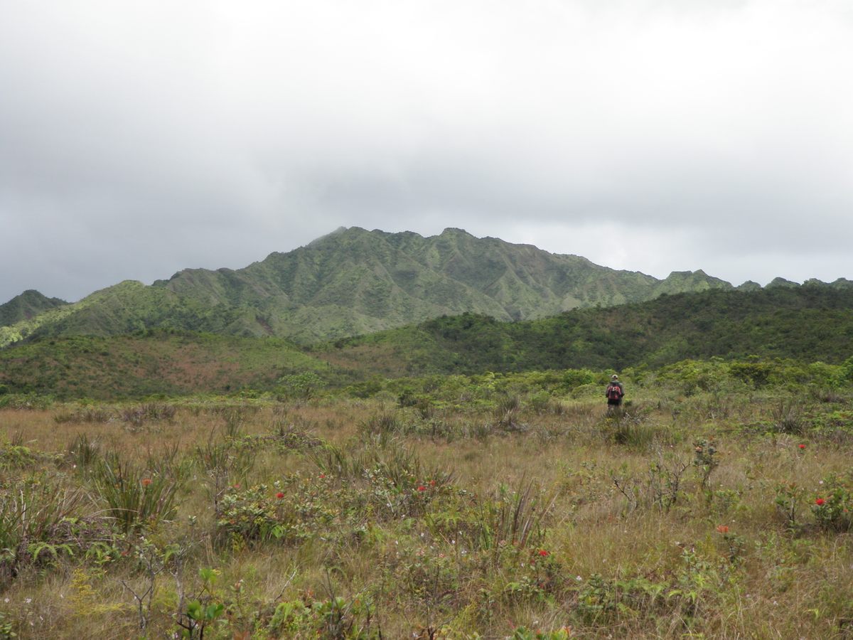 Kanaele is nestled in a natural amphitheater.