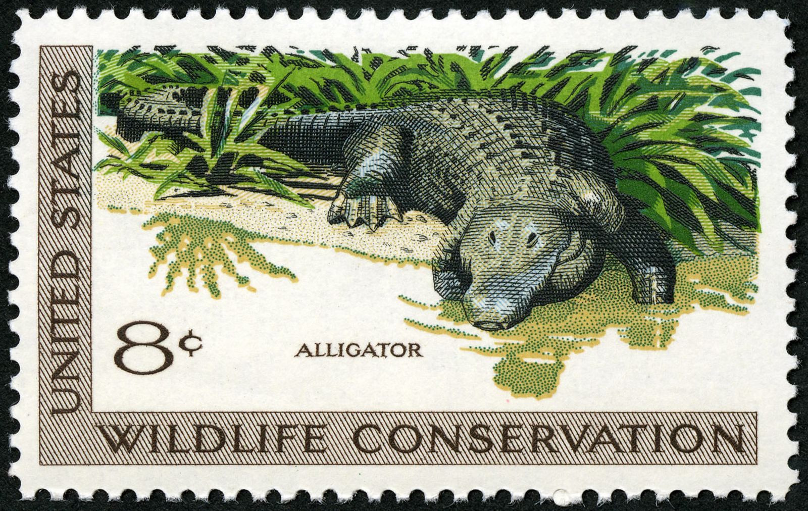 One of the first jumbo-sized stamps, part of 1971's wildlife-themed collection.