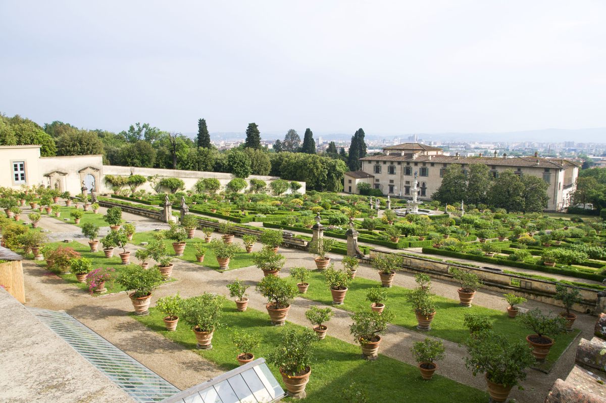 A view of the Villa di Castello gardens.