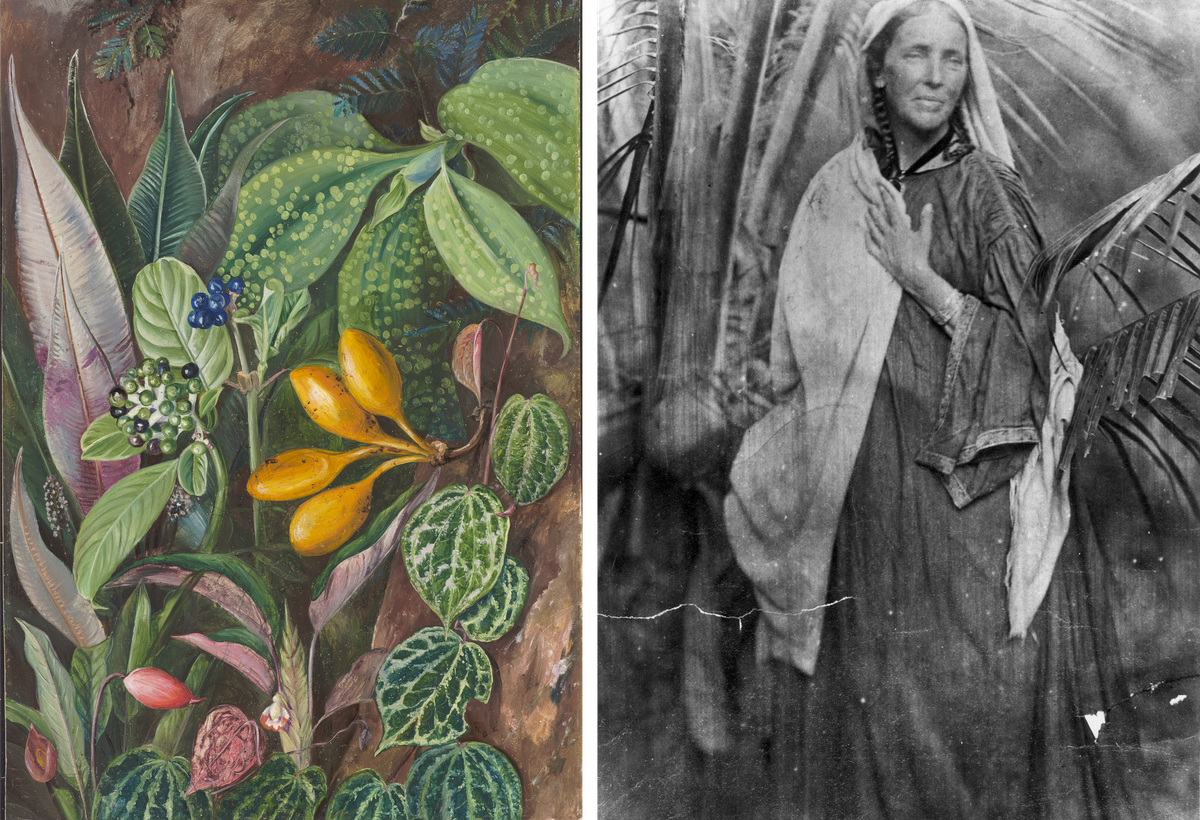 The <em>Curious Plants</em> painting (left) and Marianne North in Sri Lanka (right, photographed by Julia Margaret Cameron in 1877).